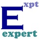 Logo proiect EXPERT